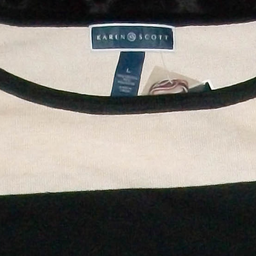 New! Karen Scott | Color-block Sweater - Size: L - Picture 3 of 5
